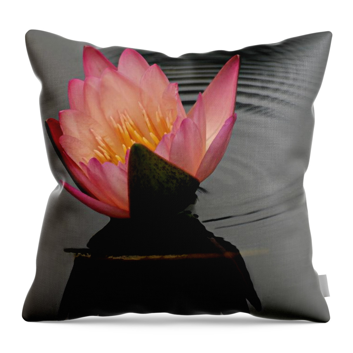 Ring Around The Rosy Throw Pillow featuring the photograph Ring Around the Rosy by Diana Angstadt