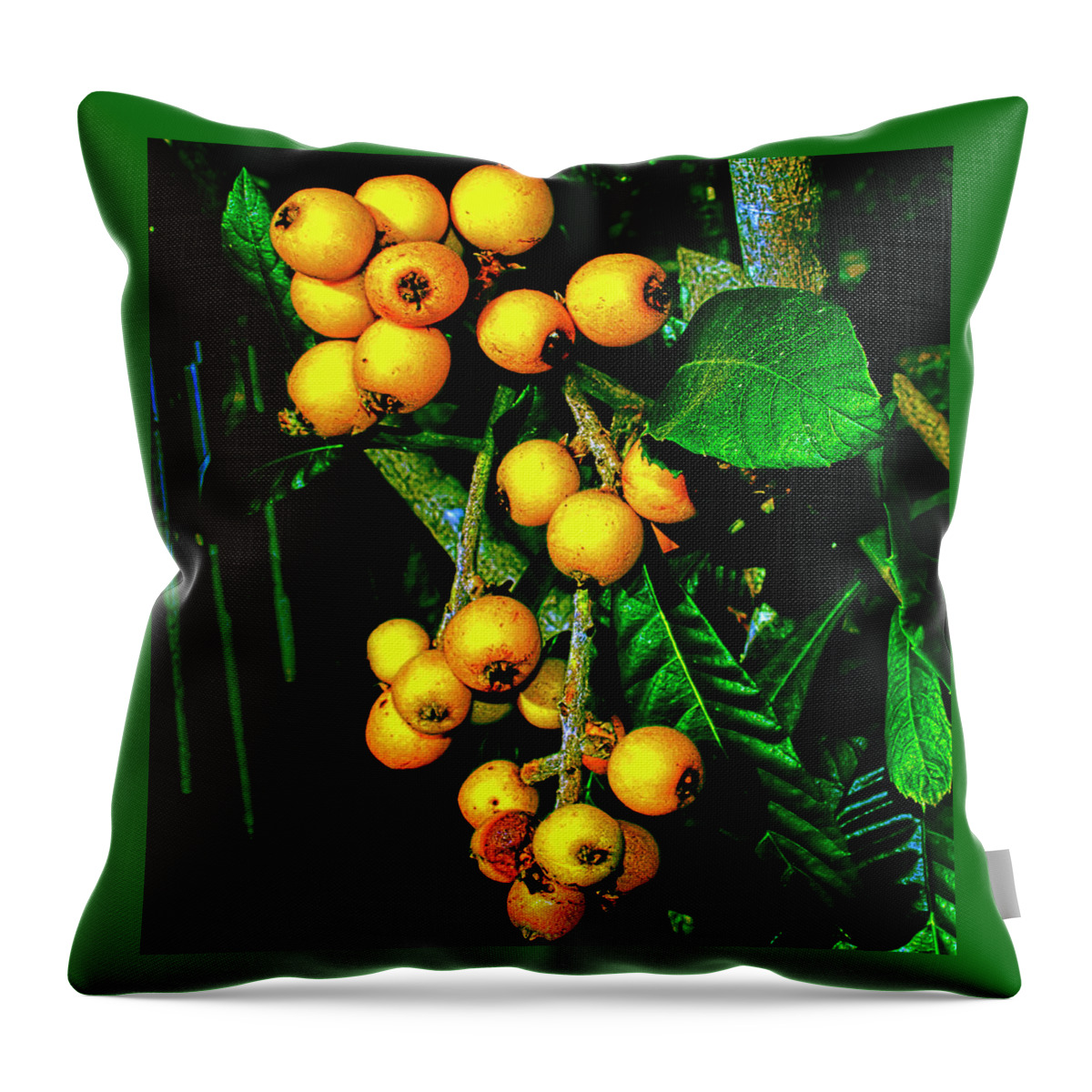 Loquats Throw Pillow featuring the photograph Ripe Loquats by Gina O'Brien