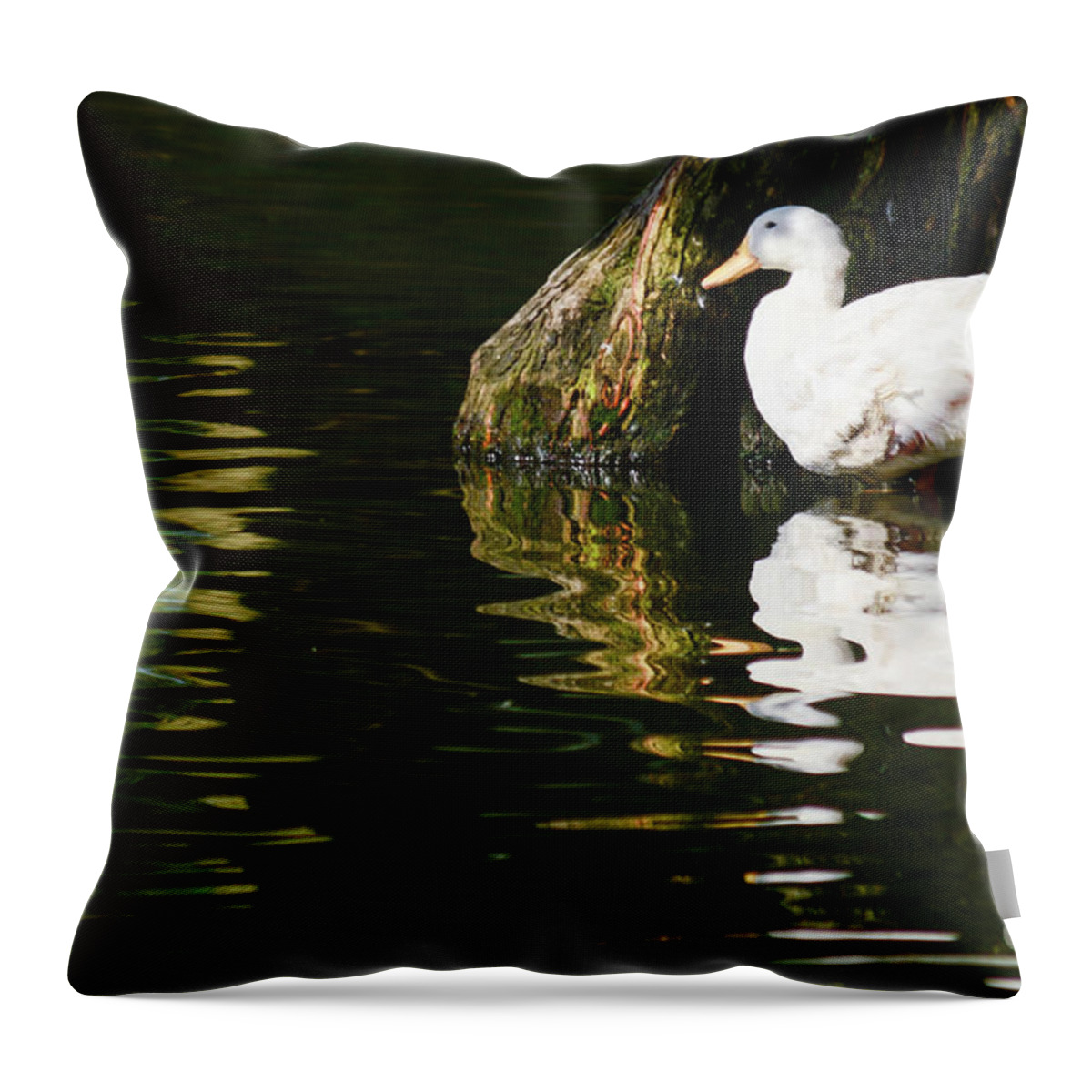 Water Throw Pillow featuring the photograph Ripples by Barry Bohn