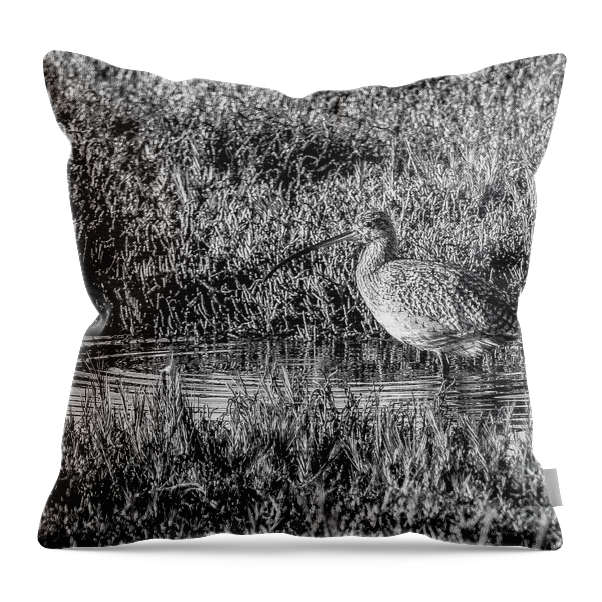 Bird Throw Pillow featuring the photograph Camouflage, Black and White by Adam Morsa