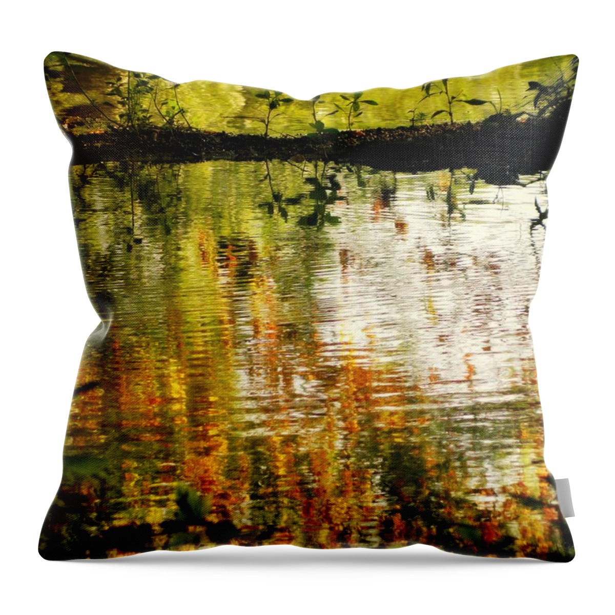 Lake Conestee Nature Park Throw Pillow featuring the photograph Ripples by Kathy Barney