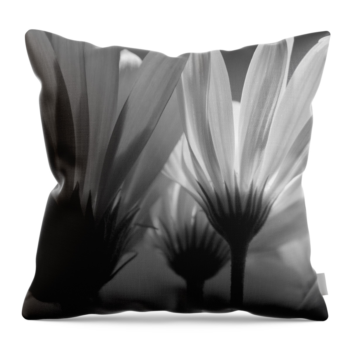 Flower Throw Pillow featuring the photograph Rise'n Shine by Julie Lueders 
