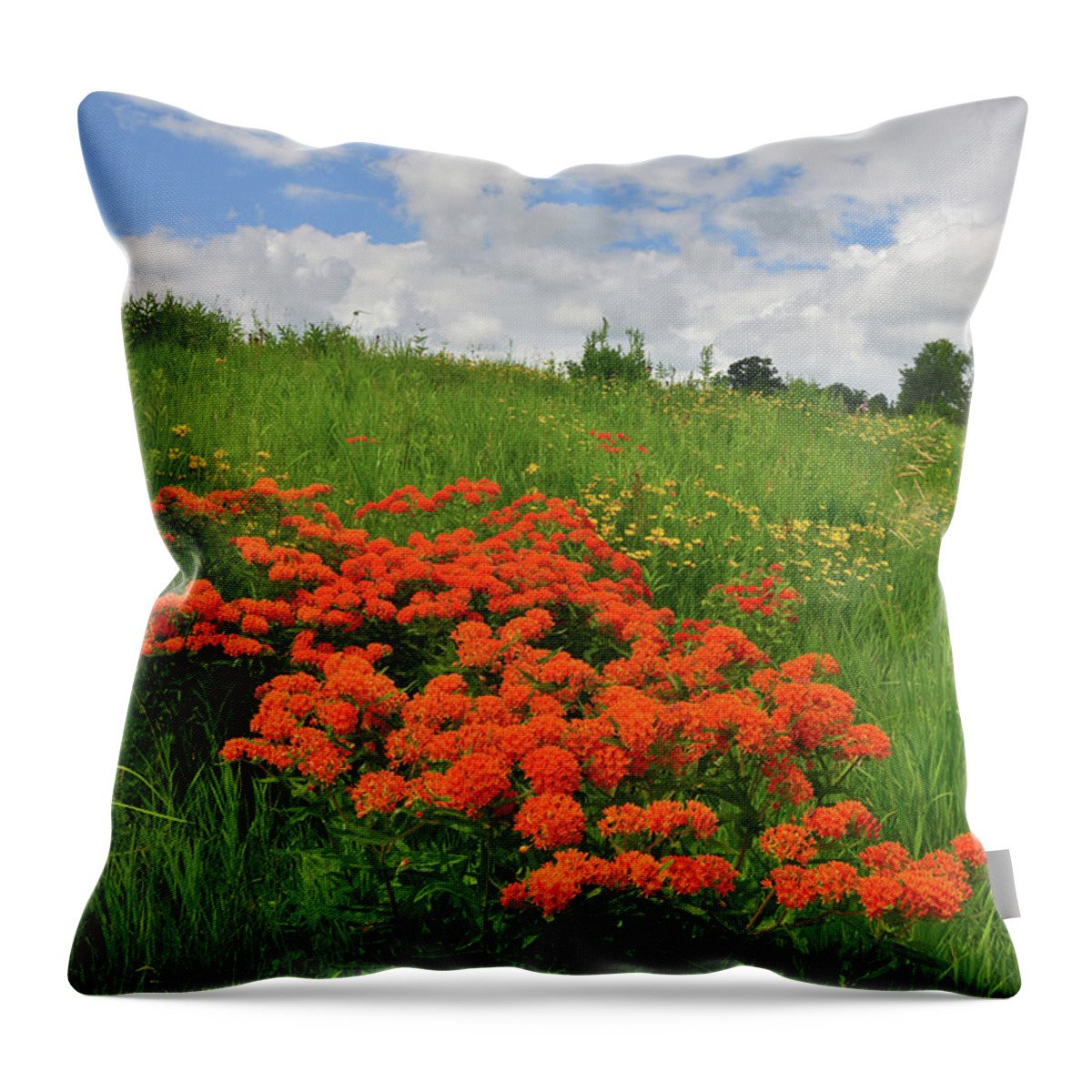 Glacial Park Throw Pillow featuring the photograph Rising Clouds over Glacial Park Prairie by Ray Mathis