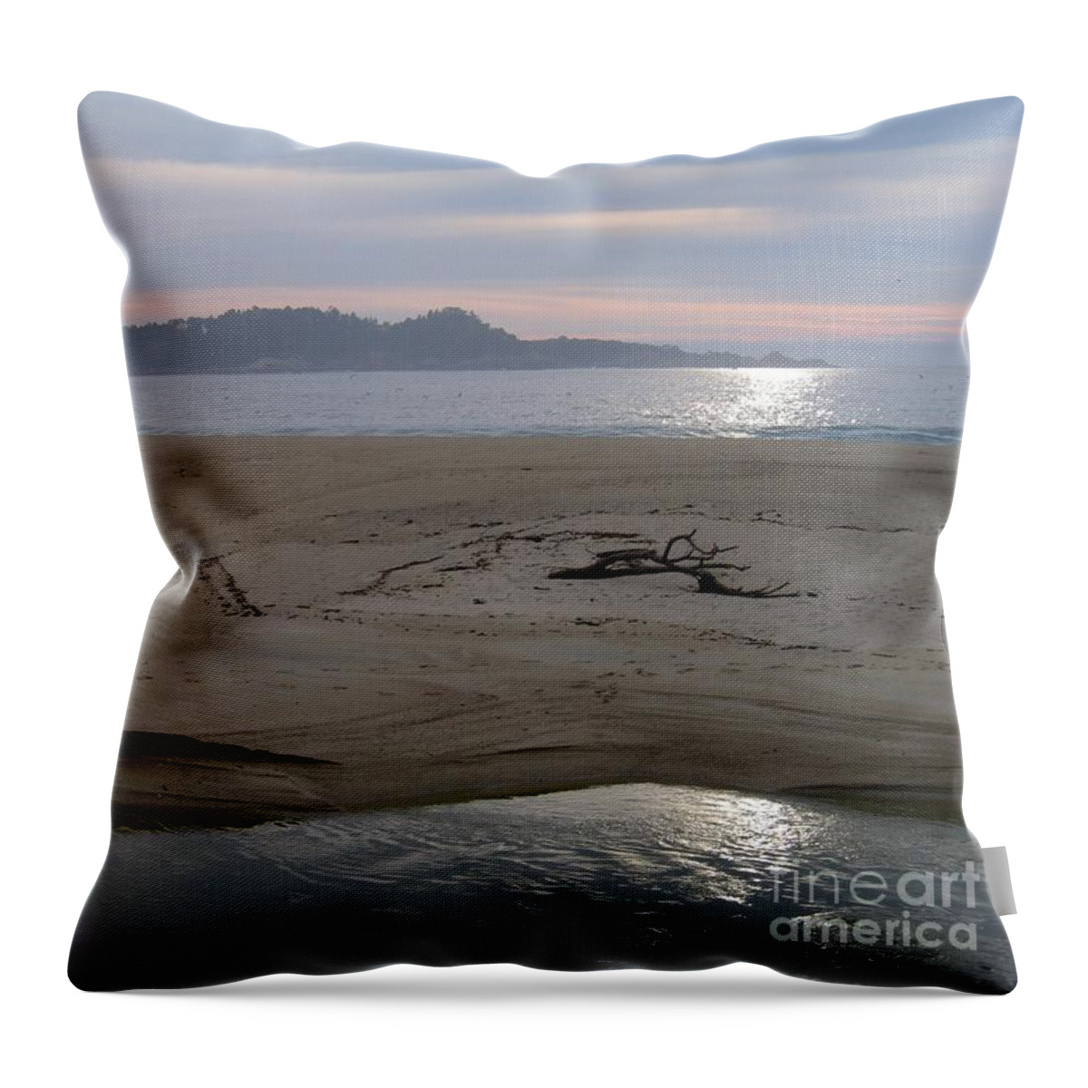 Carmel River Beach Throw Pillow featuring the photograph River and Ocean by James B Toy