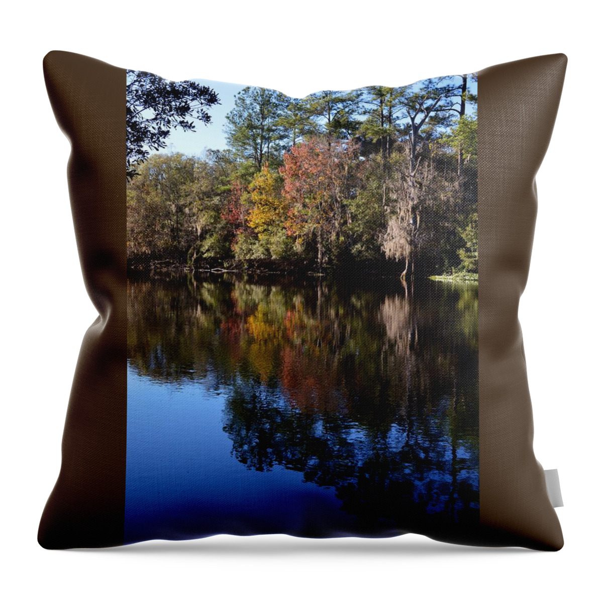 River Color Throw Pillow featuring the photograph River Color by Warren Thompson