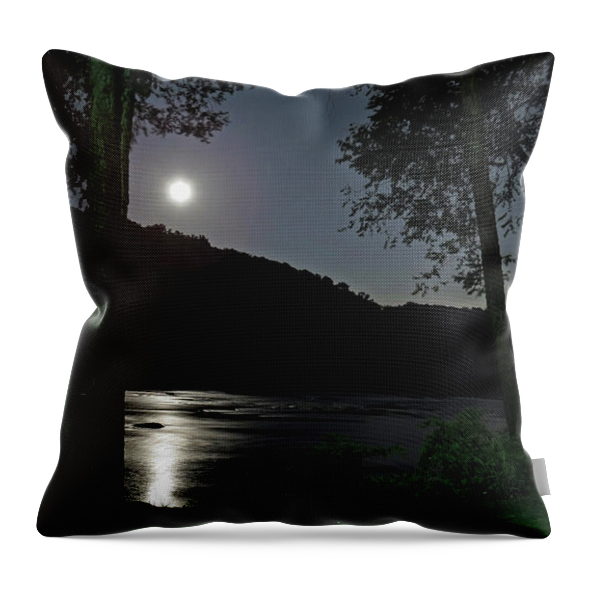 River Throw Pillow featuring the digital art River In Moonlight by Kathleen Illes