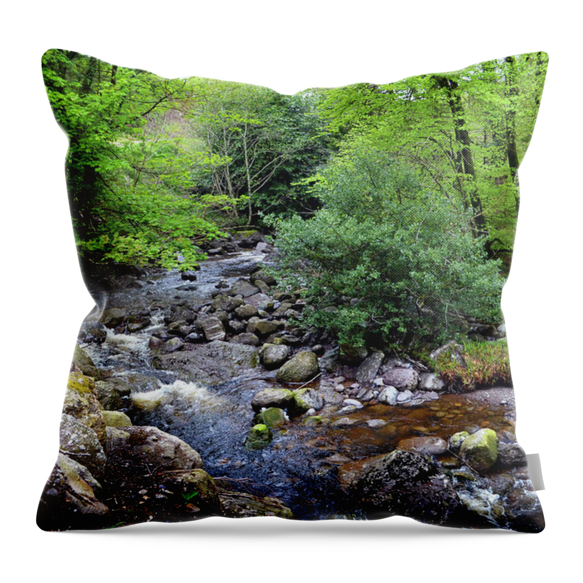 Rivers Throw Pillow featuring the photograph River Mahon Waterford Ireland..jpg by Terence Davis