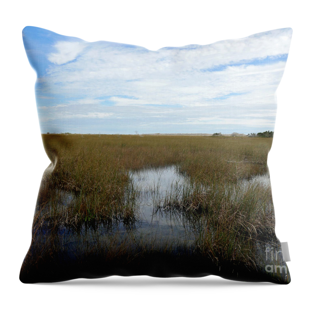 Florida Throw Pillow featuring the photograph River of Grass by Maxine Kamin