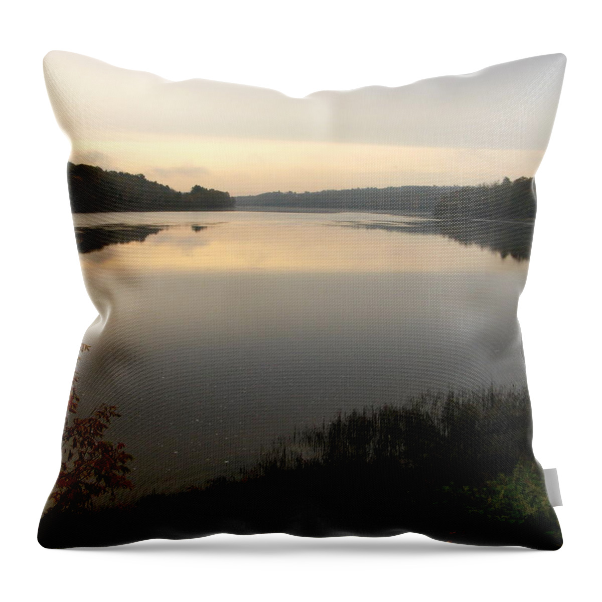 River Throw Pillow featuring the photograph River Solitude by Bill Tomsa
