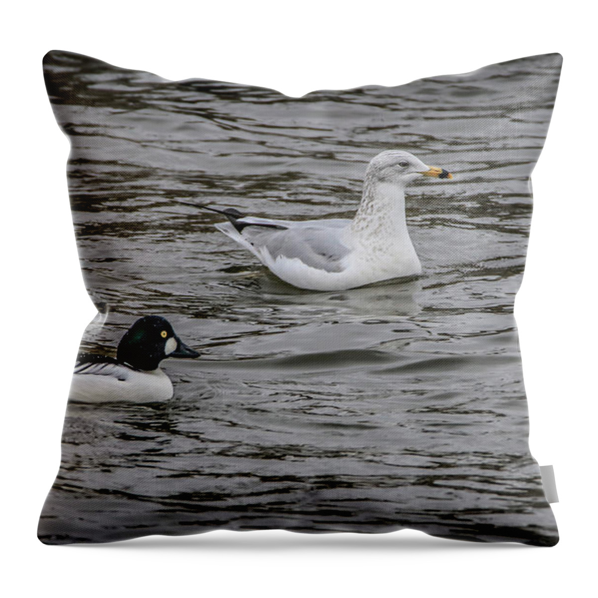 Waterfowl Throw Pillow featuring the photograph River To Share by Ray Congrove