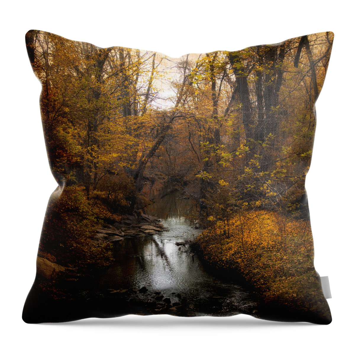 Seasons Throw Pillow featuring the photograph River Views by Jessica Jenney