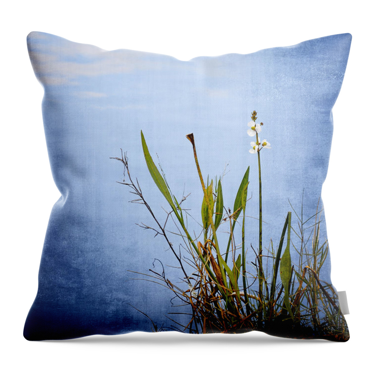 Wildflower Throw Pillow featuring the photograph Riverbank Beauty by Carolyn Marshall
