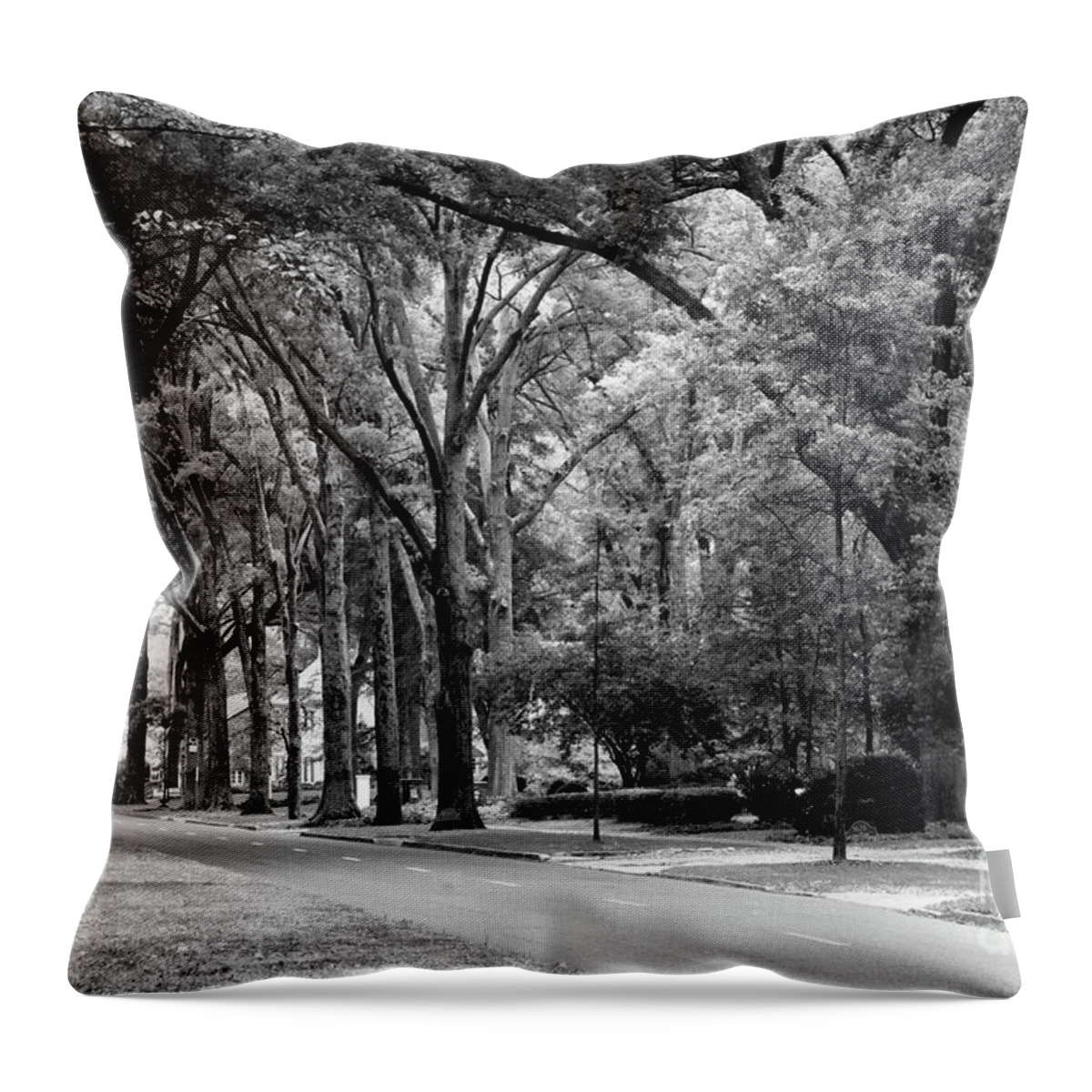 Queens Road West Throw Pillow featuring the photograph Road in Black and White by Jill Lang
