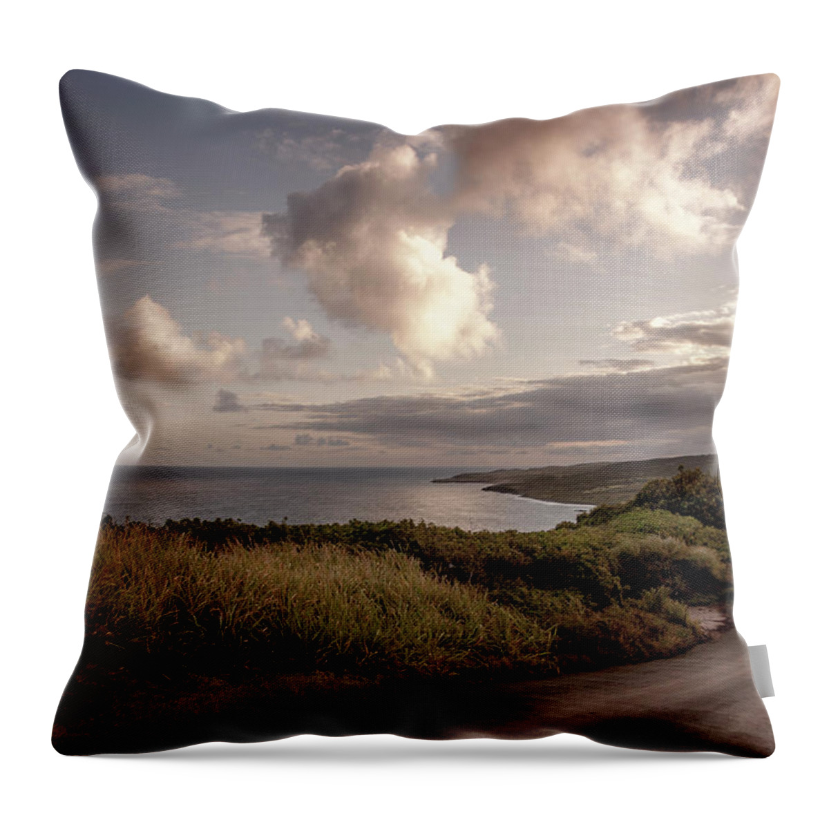 Roads Throw Pillow featuring the photograph Road Less Traveled by Daniel Murphy