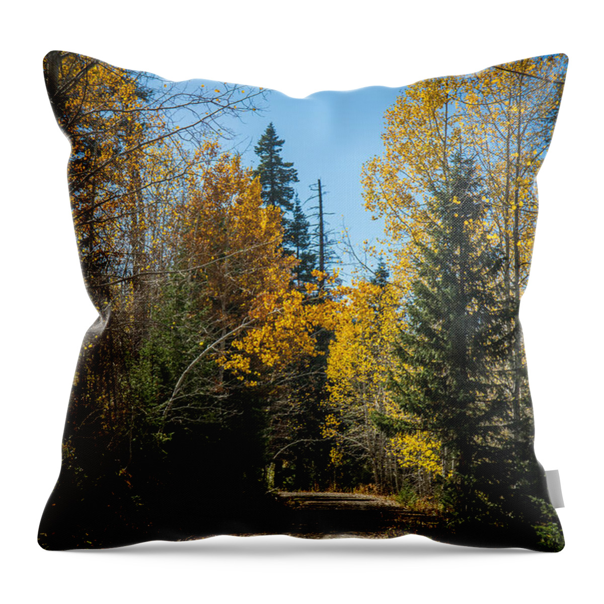 Autumn Throw Pillow featuring the photograph Road To Fall Colors by Robert Bales