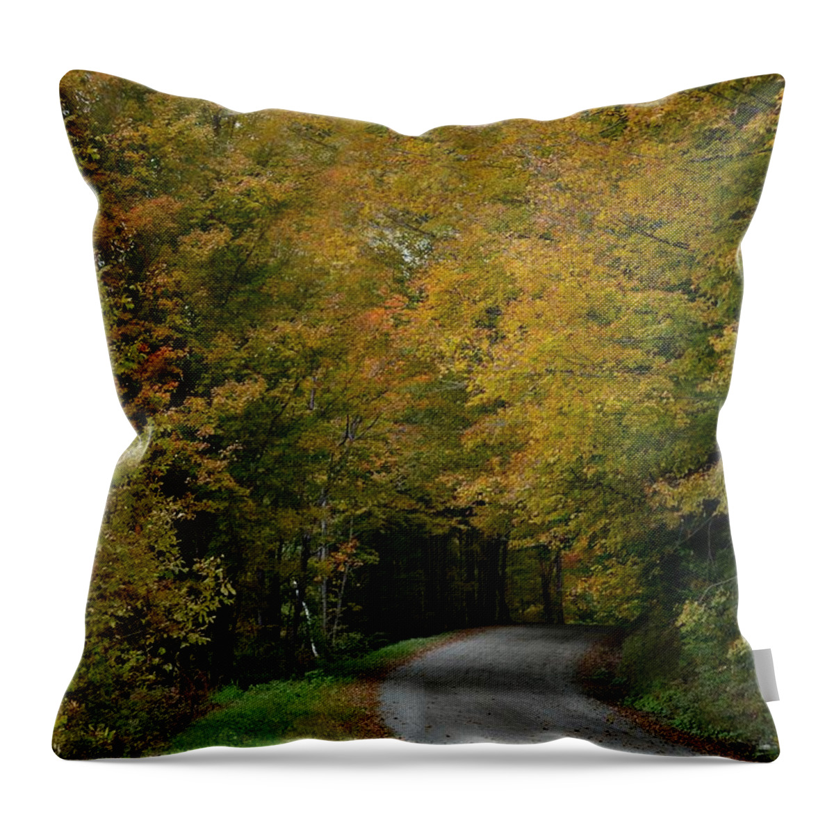 Autumn Throw Pillow featuring the photograph Road to October by Carolyn Mickulas