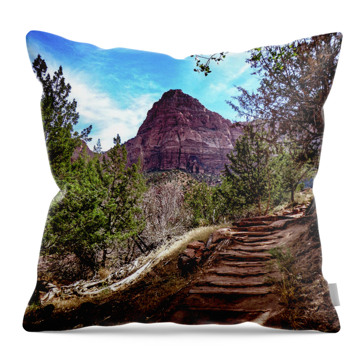 Zion Throw Pillow featuring the photograph The Way by Adam Morsa