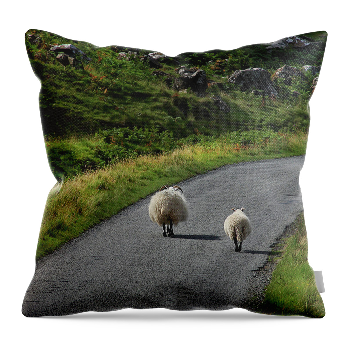 Scotland Throw Pillow featuring the digital art Road Trip by Vicki Lea Eggen