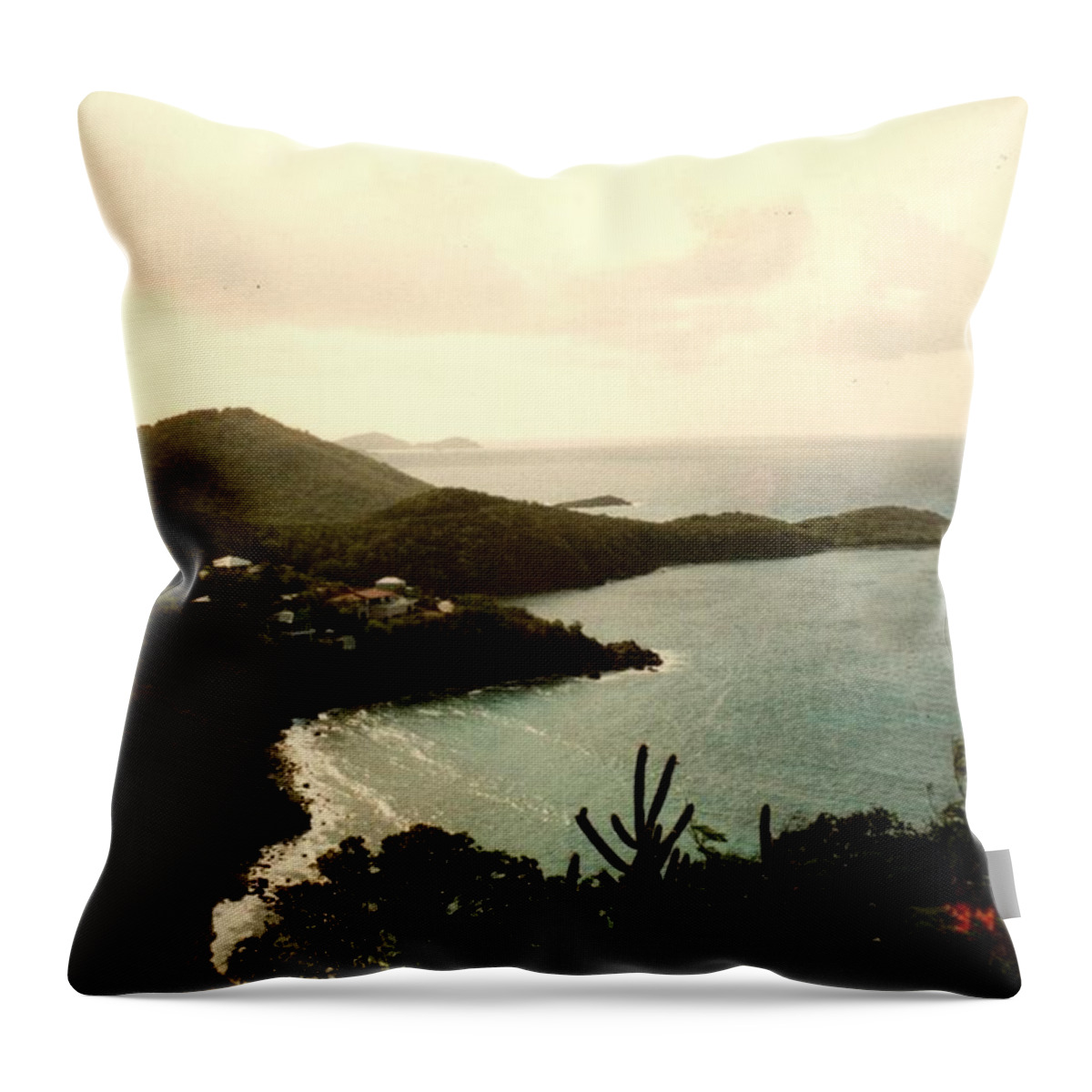 Caribbean Throw Pillow featuring the photograph Road Unknown by Robert Nickologianis