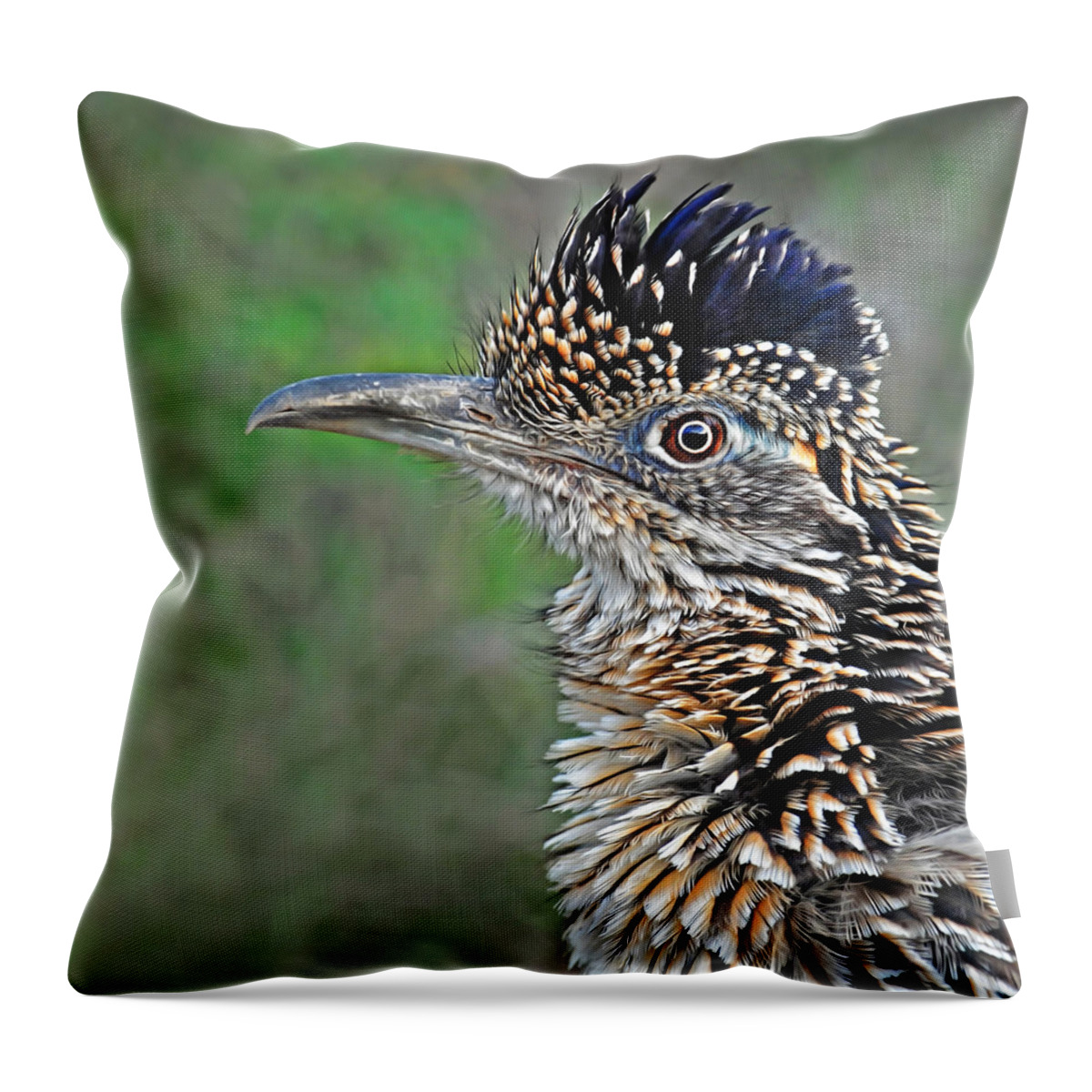 Roadrunner Throw Pillow featuring the photograph Roadrunner Portrait by Dave Mills