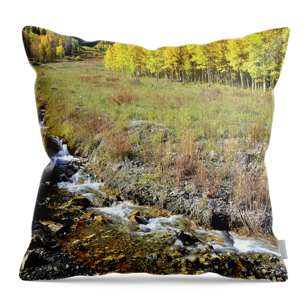 Colorado Throw Pillow featuring the photograph Roadside Creek near Red Mountain Pass by Ray Mathis