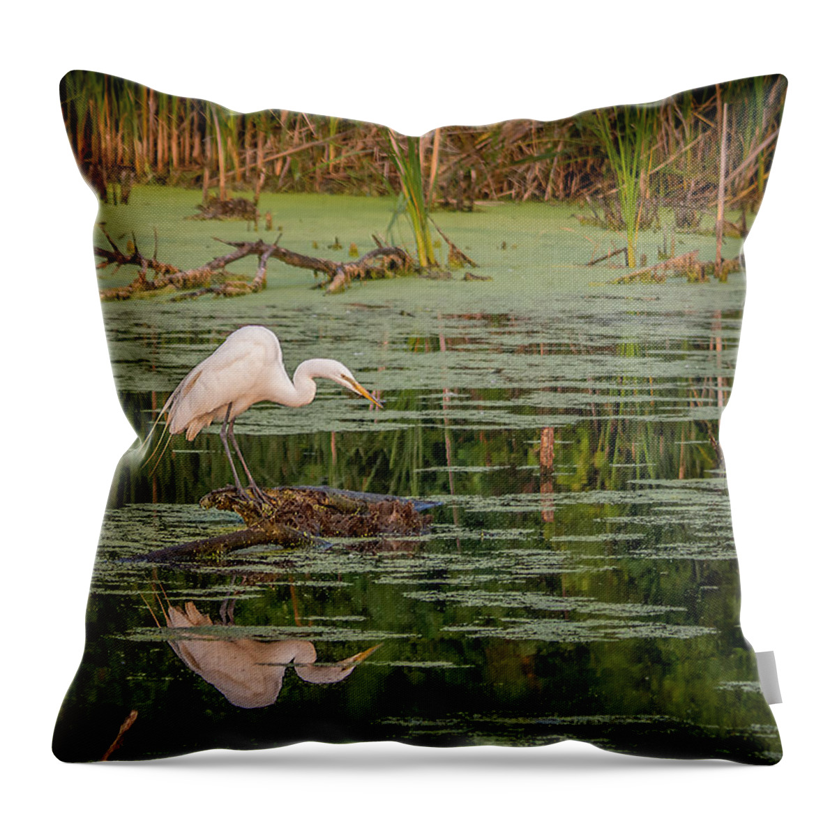 Wisconsin Throw Pillow featuring the photograph Roadside Reflection by Kristine Hinrichs