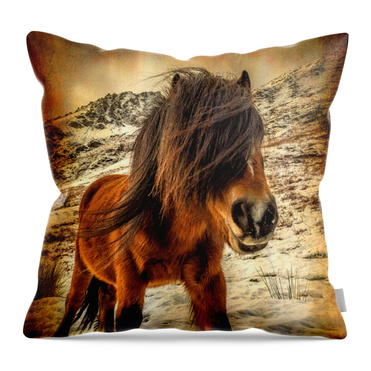 Nant Ffrancon Throw Pillow featuring the photograph Roaming Free by Adrian Evans