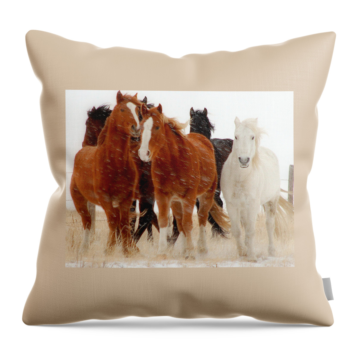 Horse Throw Pillow featuring the photograph Roaming Free.. by Al Swasey