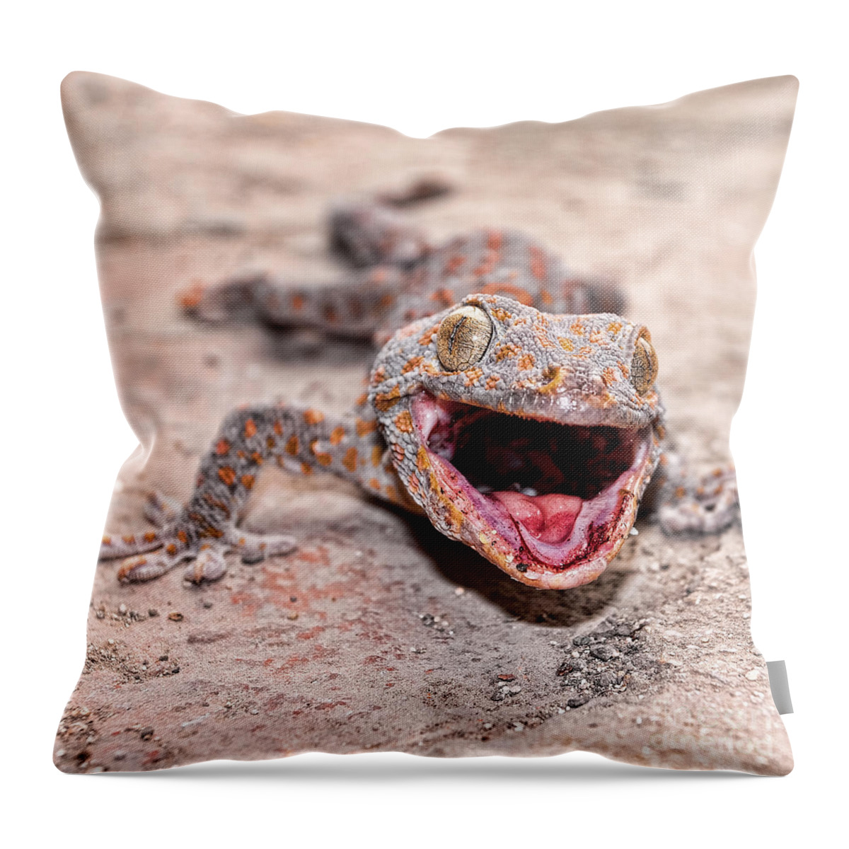 Animals Throw Pillow featuring the photograph Roar by Joerg Lingnau