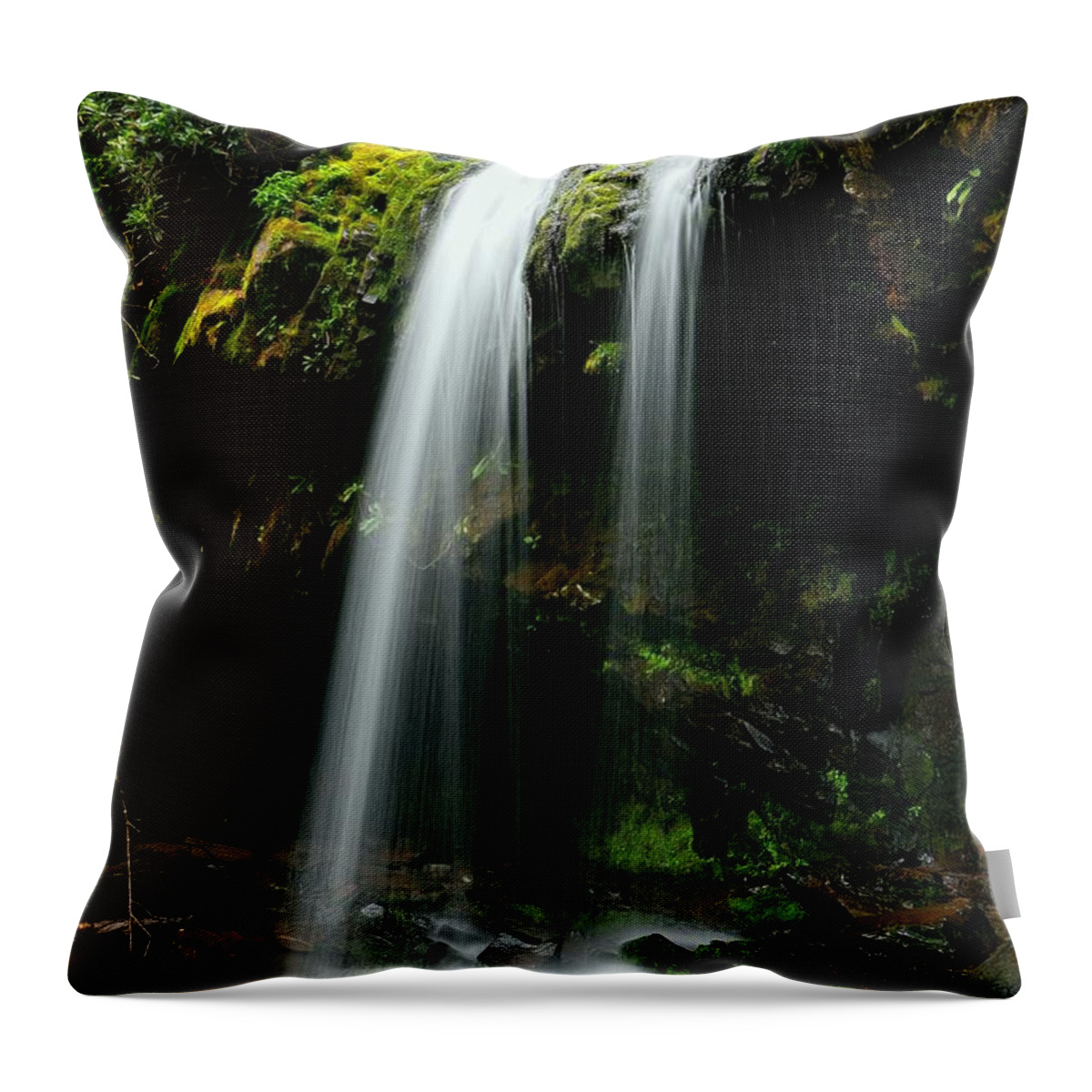 Grotto Falls Throw Pillow featuring the photograph Roaring Fork Motor Trail Grotto Falls  by Carol Montoya