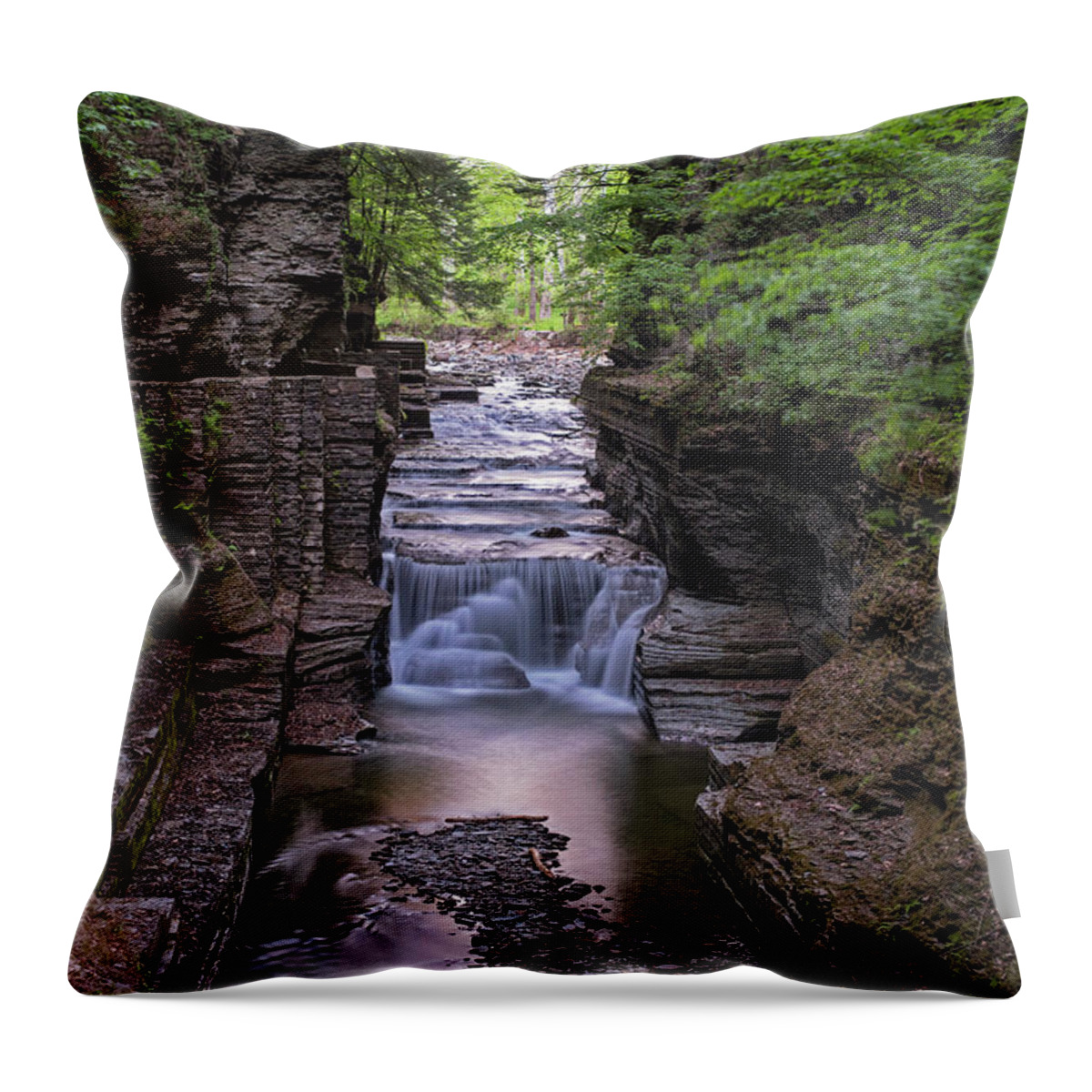 Robert H. Treman State Park Throw Pillow featuring the photograph Robert H. Treman State Park Canal 2 Ithaca NY by Toby McGuire
