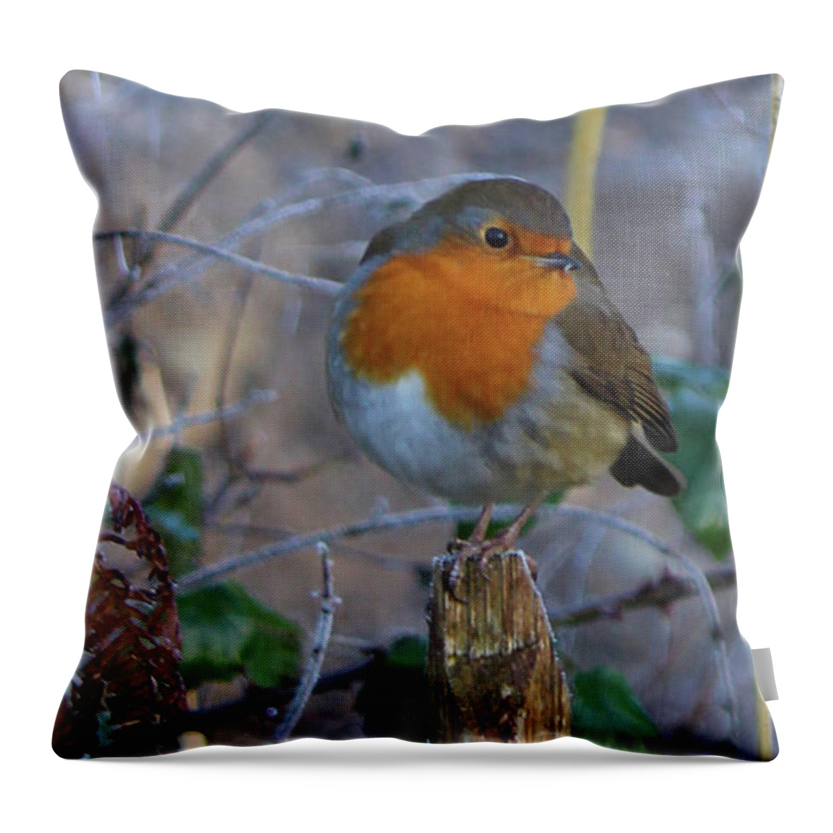 Bird Throw Pillow featuring the photograph Robin by Eddie Barron