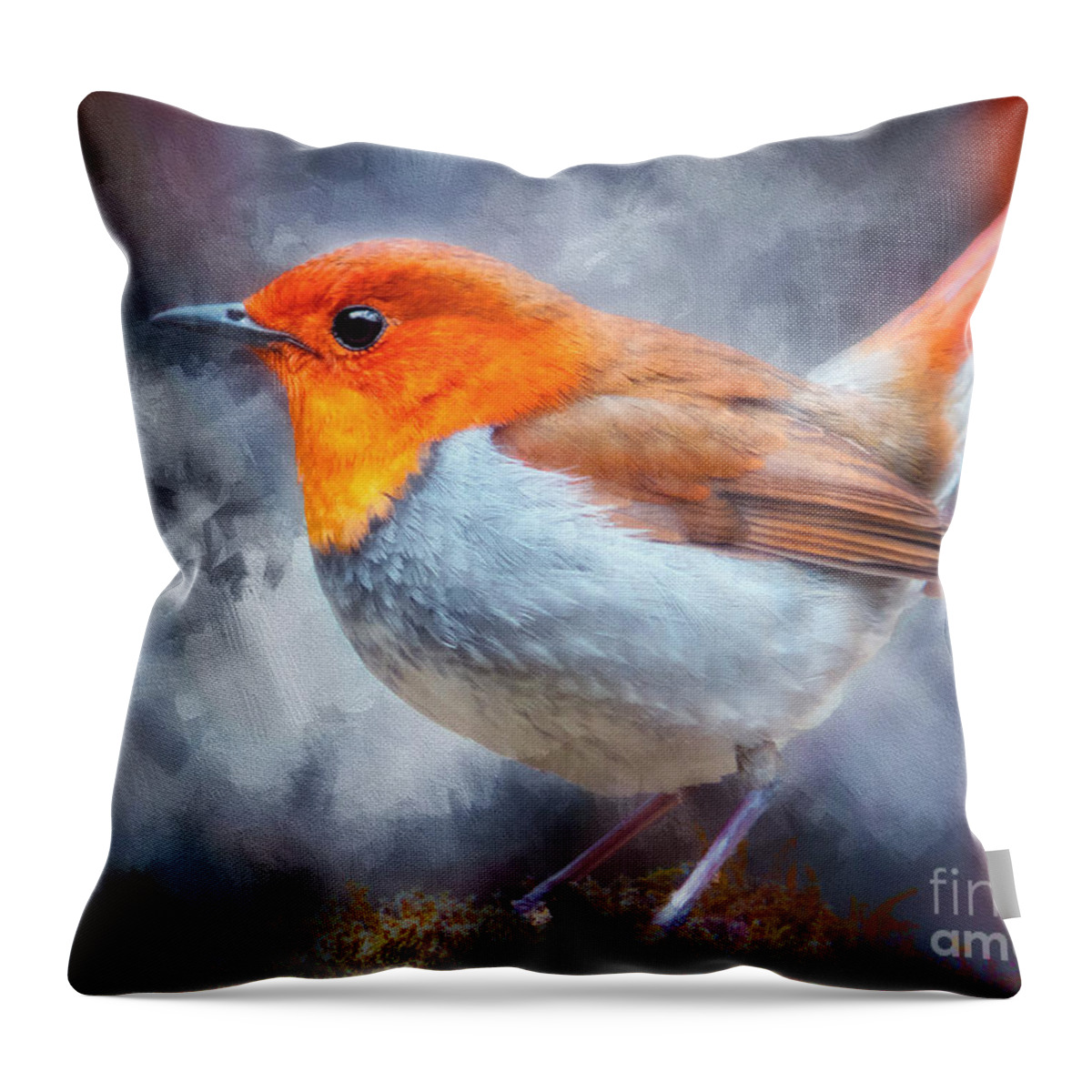 Bird Throw Pillow featuring the photograph Robin I by Jack Torcello