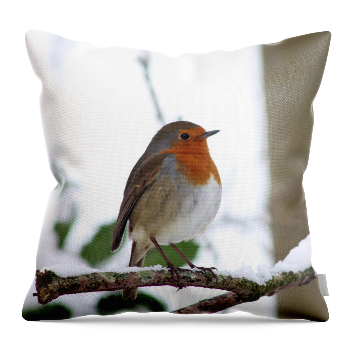 Robin Throw Pillow featuring the photograph Robin by Kyle Hillman