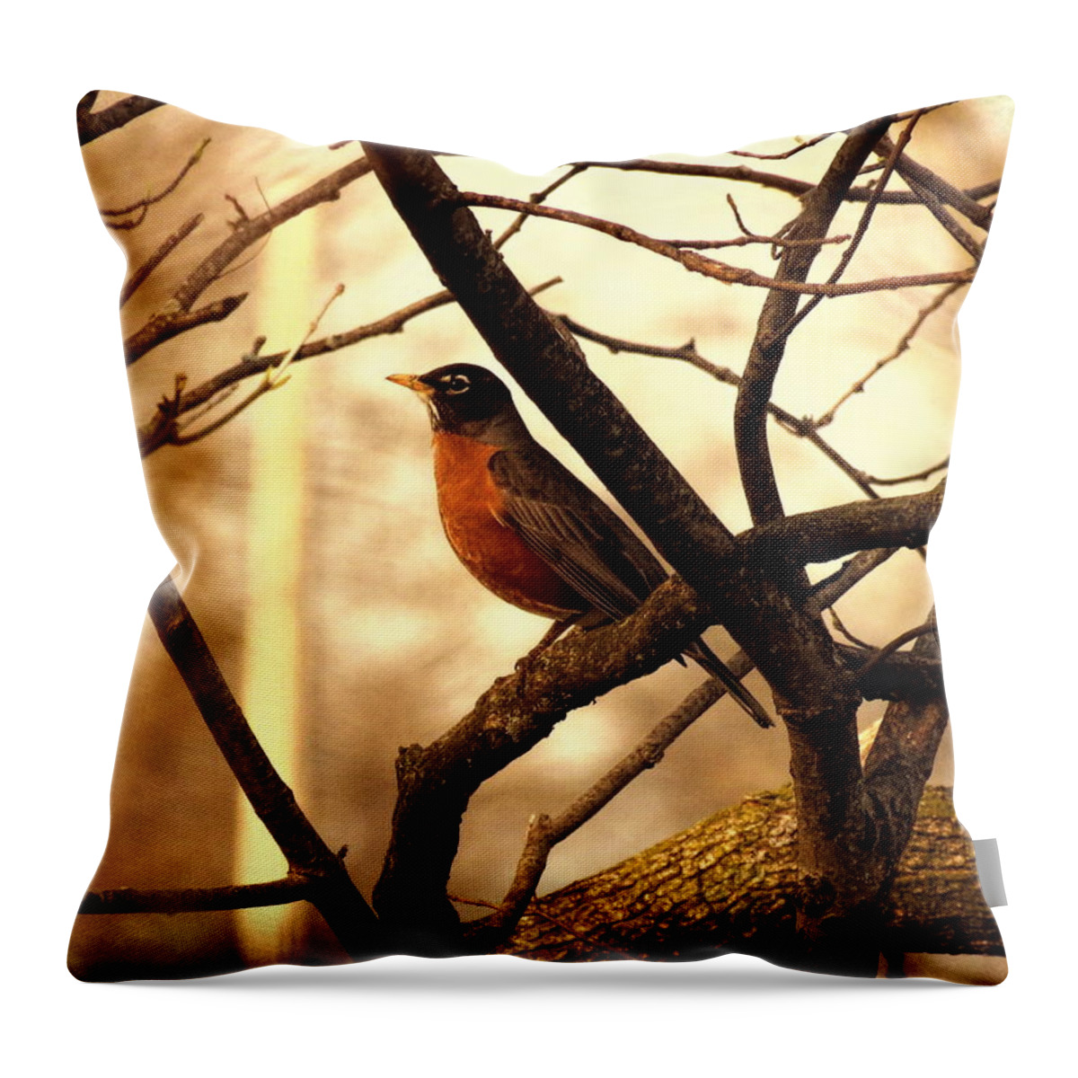 Bird Throw Pillow featuring the photograph Robin by Mike Flake