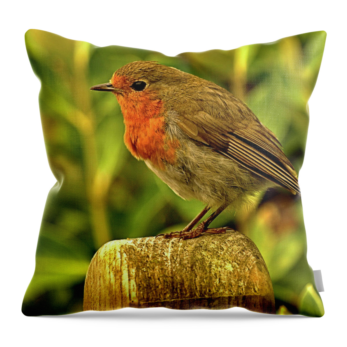 Animals Throw Pillow featuring the photograph Robin on a Post by Richard Denyer