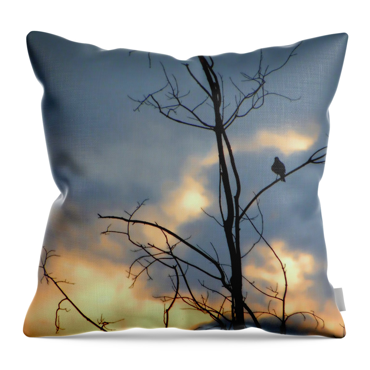 Robin Throw Pillow featuring the photograph Robin Watching Sunset After The Storm by Sandi OReilly