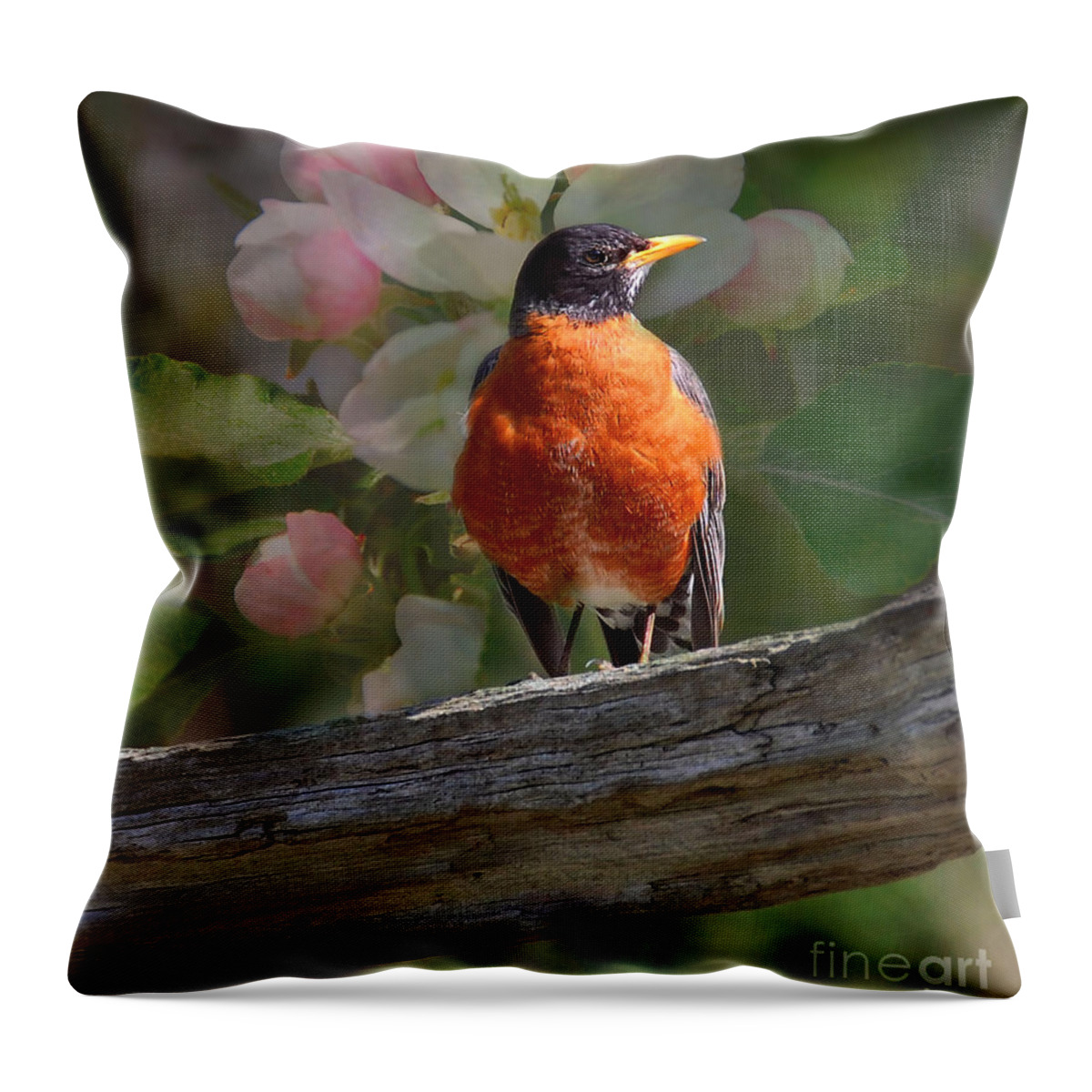 Nature Throw Pillow featuring the photograph Robin with Blossoms by Elaine Manley