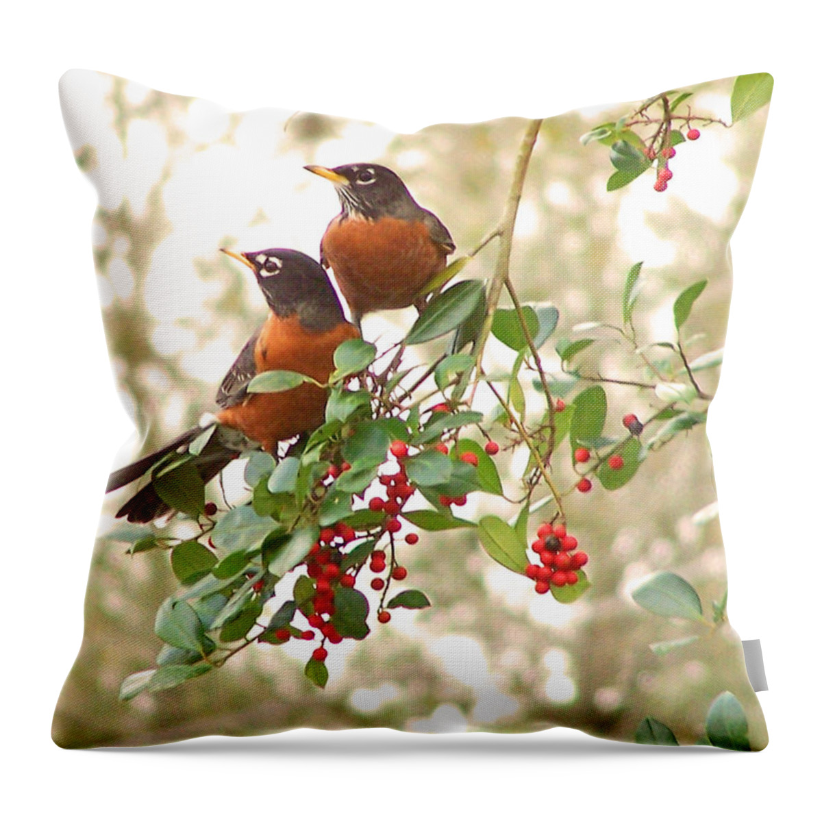 Nature Throw Pillow featuring the photograph Robins in Holly by Peggy Urban
