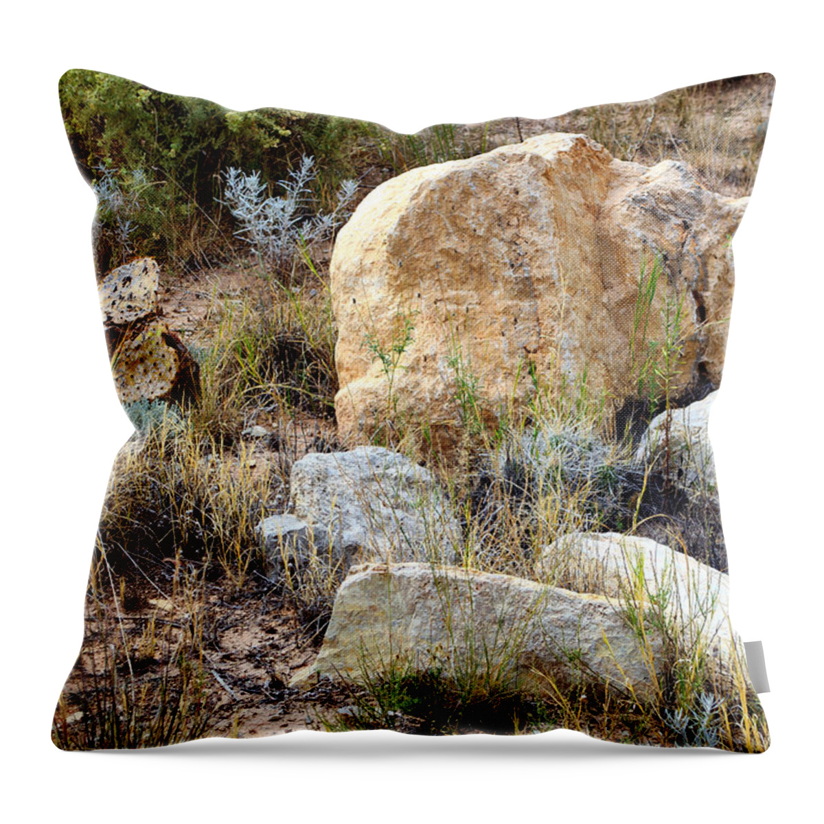 Sunrise Throw Pillow featuring the photograph Rock and Cacti Garden by Tikvah's Hope
