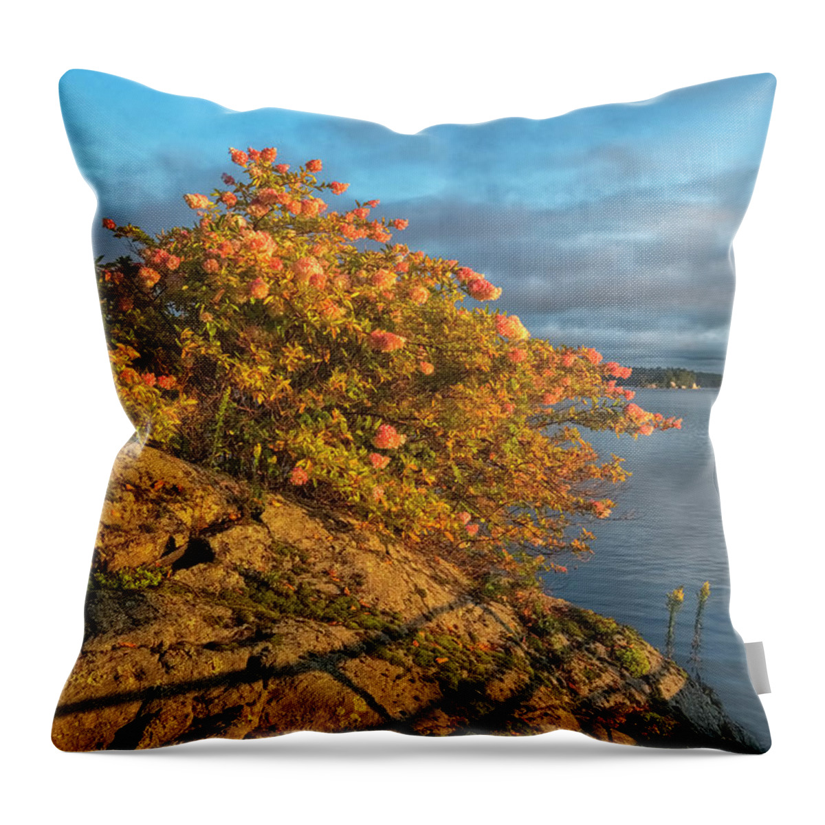 St Lawrence Seaway Throw Pillow featuring the photograph Rock And Hydrangeas by Tom Singleton
