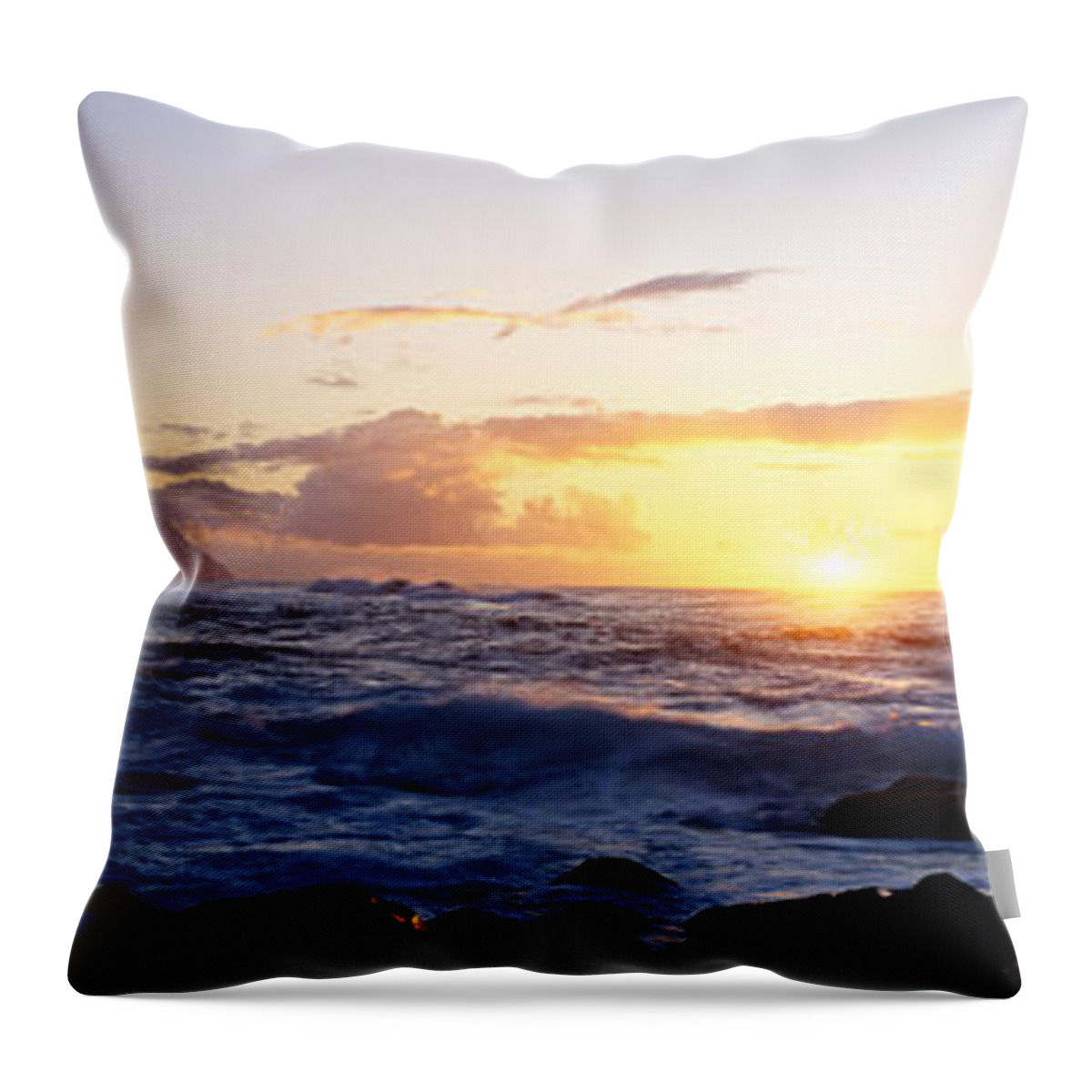 Photography Throw Pillow featuring the photograph Rock At The Coast, Na Pali Coast by Panoramic Images