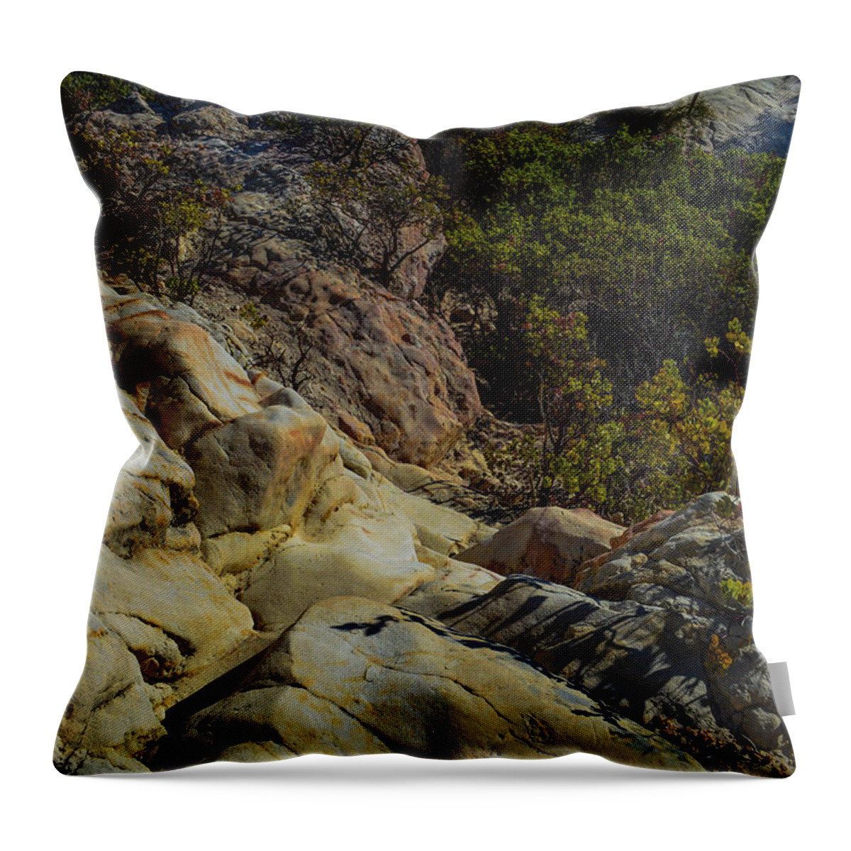 Rock Throw Pillow featuring the photograph Rock Climbing by Miranda Strapason