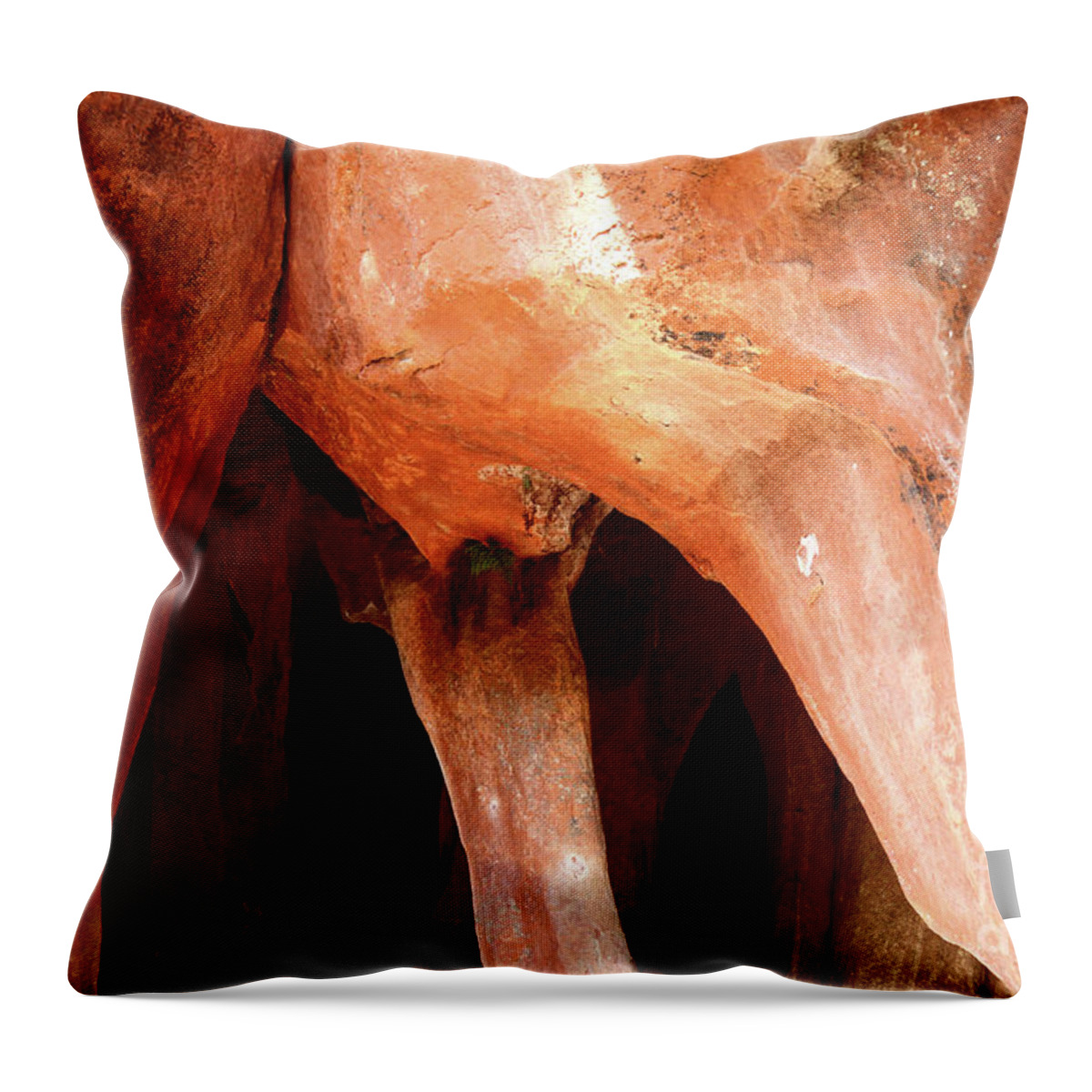 Bolivia Throw Pillow featuring the photograph Rock Columns in Ciudad de Itas, Torotoro National Park, Bolivia by James Brunker