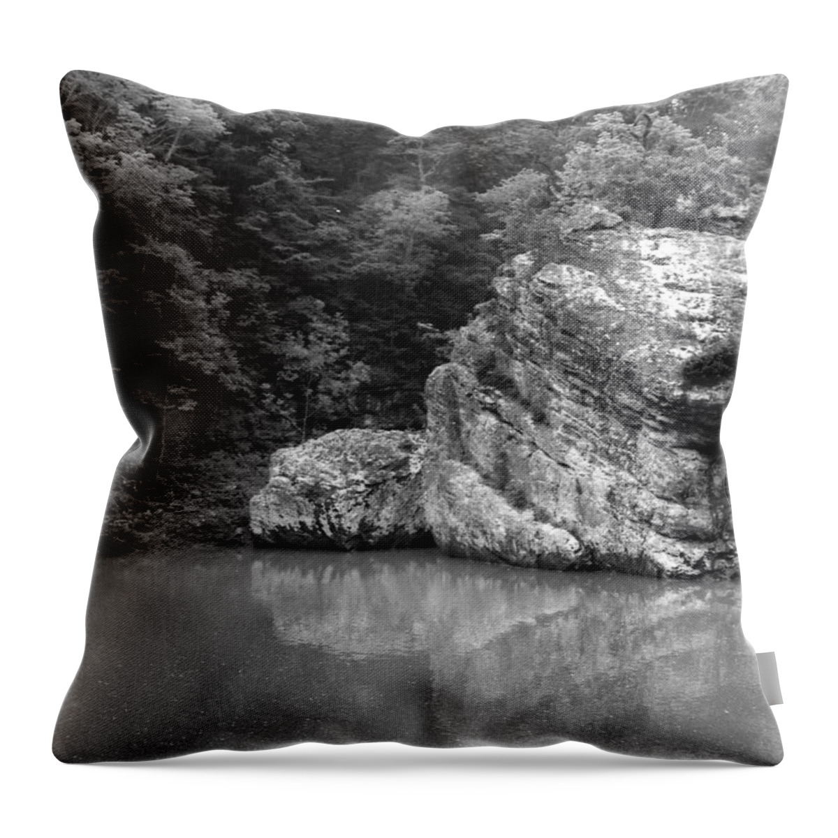 Rock Throw Pillow featuring the photograph Rock by Curtis J Neeley Jr