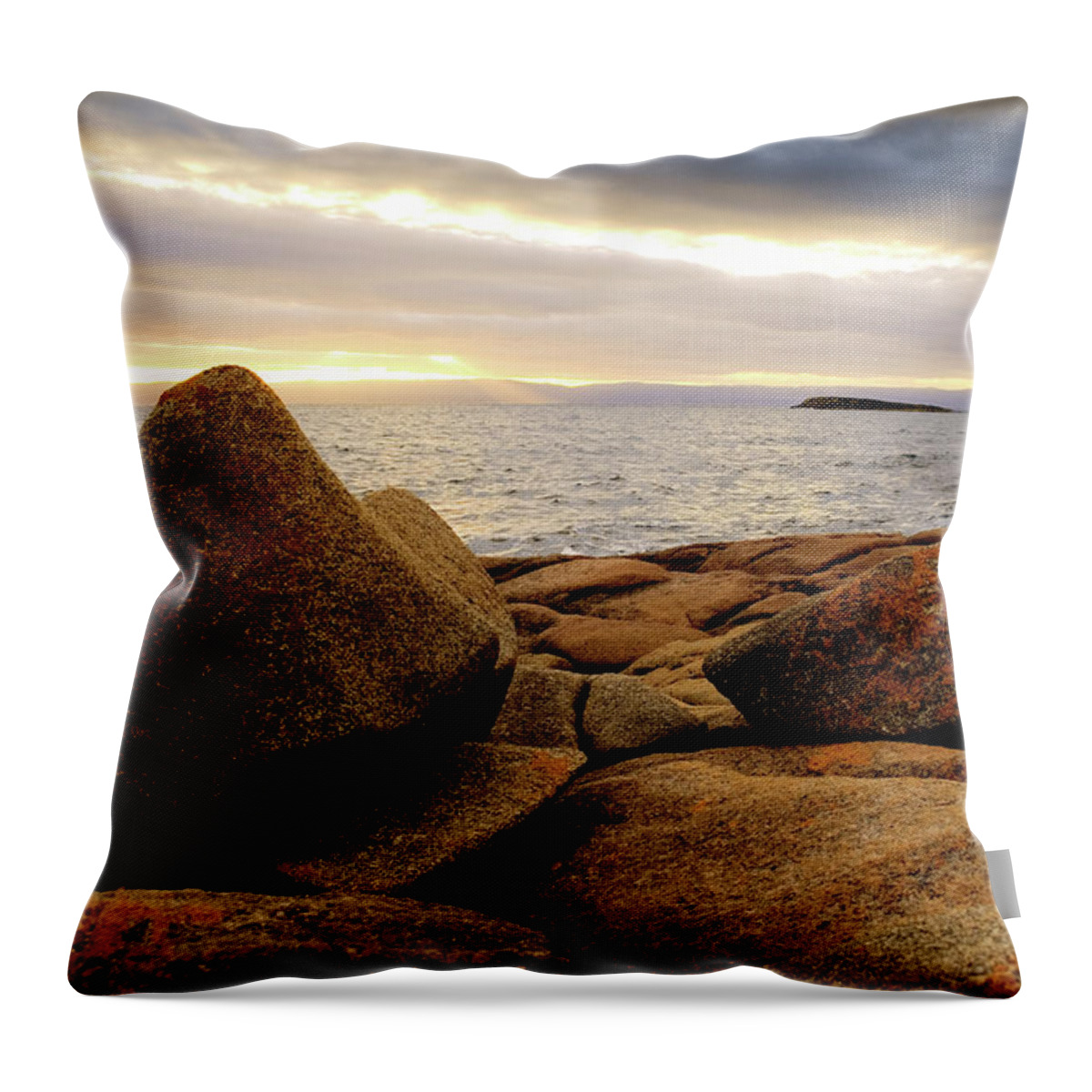 Rocks Throw Pillow featuring the photograph Rock Life 3 by Anthony Davey