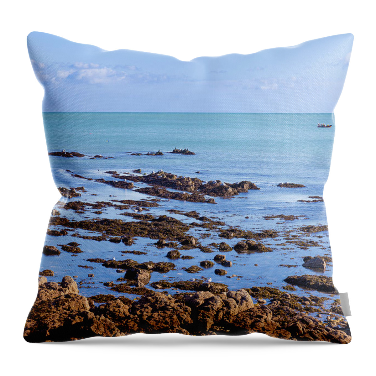 Birds Throw Pillow featuring the photograph Rocks and seaweed and seagulls in the Irish sea at Howth by Semmick Photo