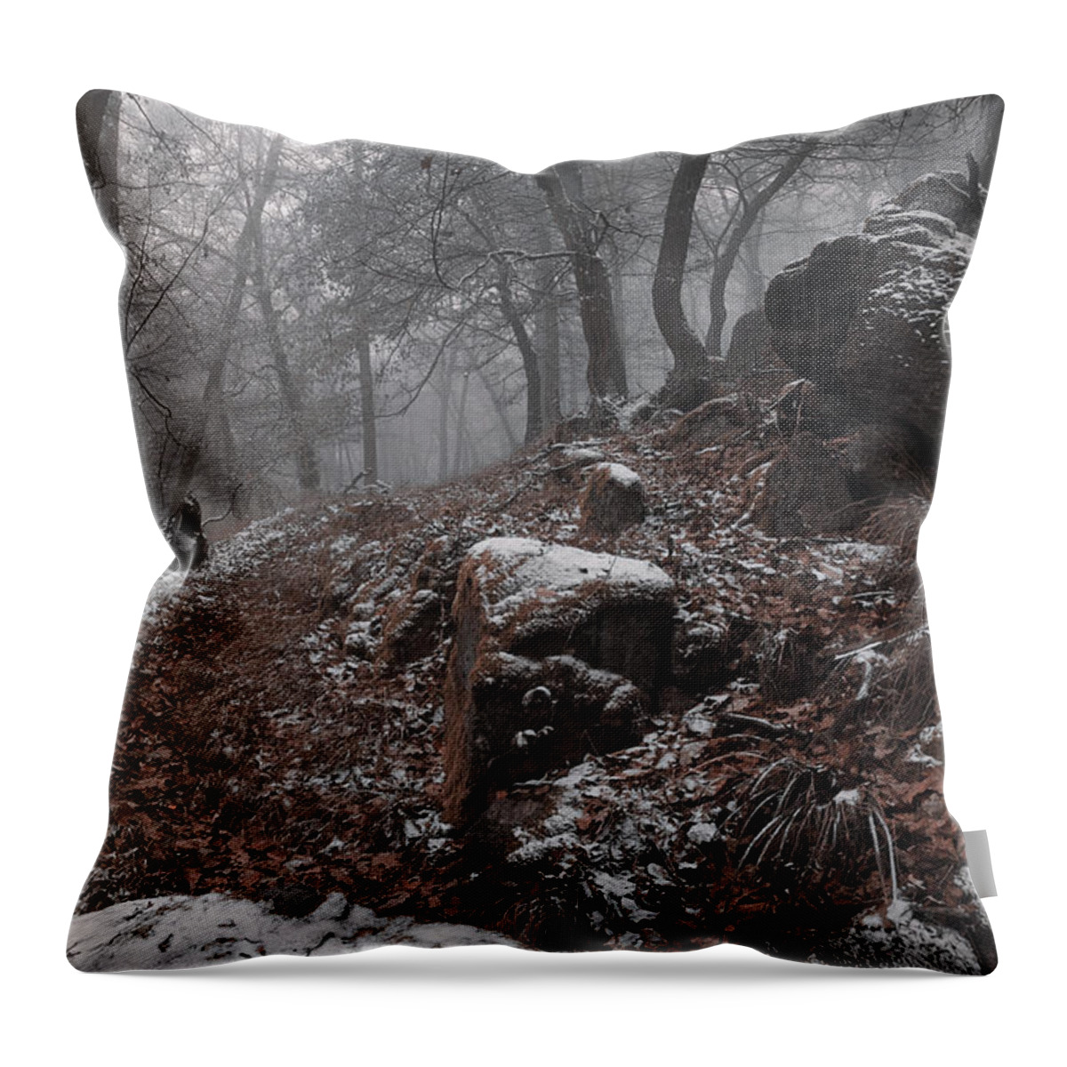 Jenny Rainbow Fine Art Photography Throw Pillow featuring the photograph Rocks and Trees by Jenny Rainbow