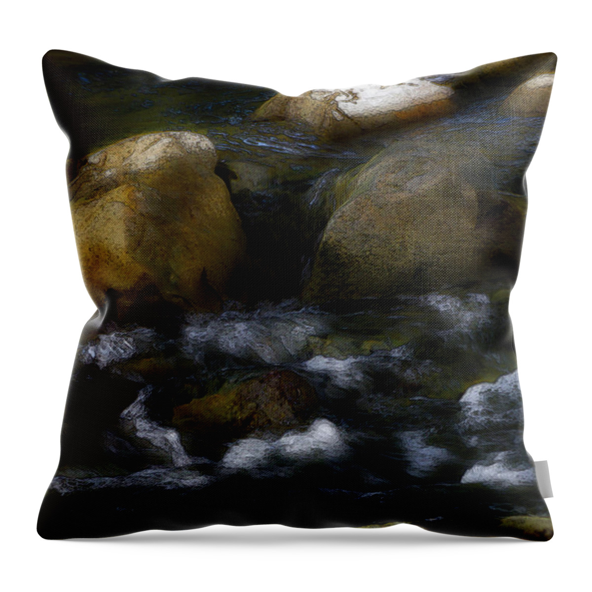 Rocks Throw Pillow featuring the photograph Rocks and Water by Karen W Meyer