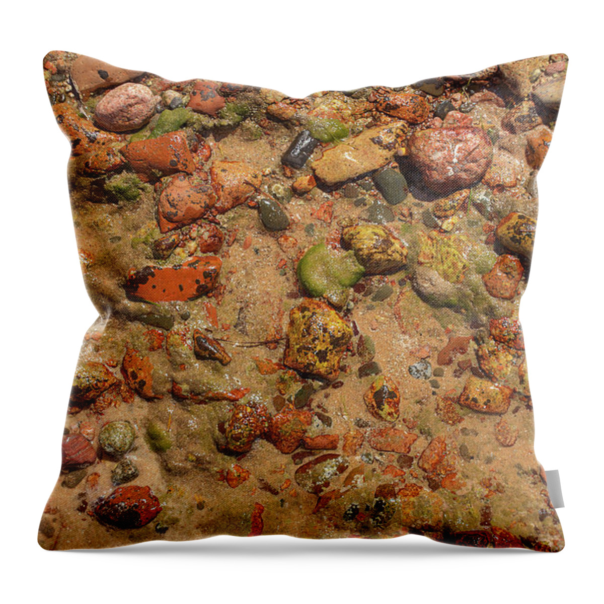 Photography Throw Pillow featuring the photograph Rocky Beach 5 by Nicola Nobile